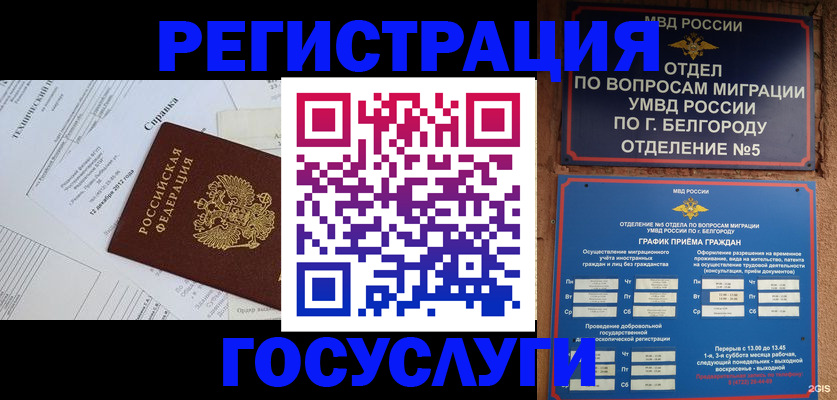 временная прописка в Змеиногорске